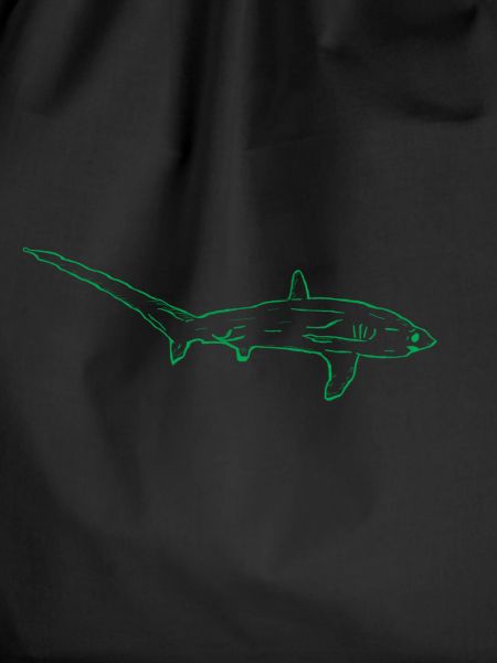 Thresher shark