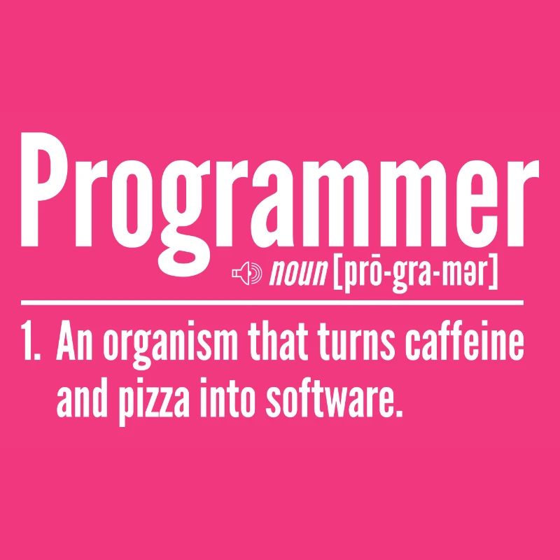 Programmer