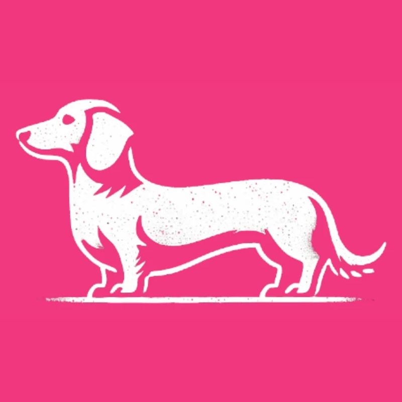 Teckel Teckel Silhouette Chien