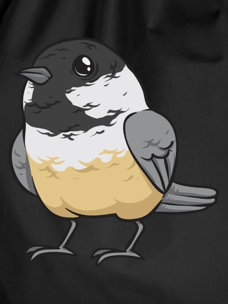 Bird Chickadee Bird Watching