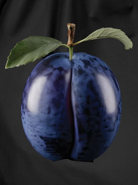 Brombeere Frucht Geschenk