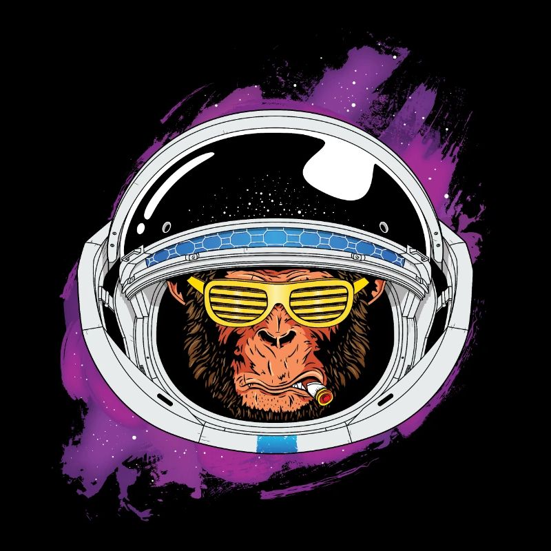 Space monkey