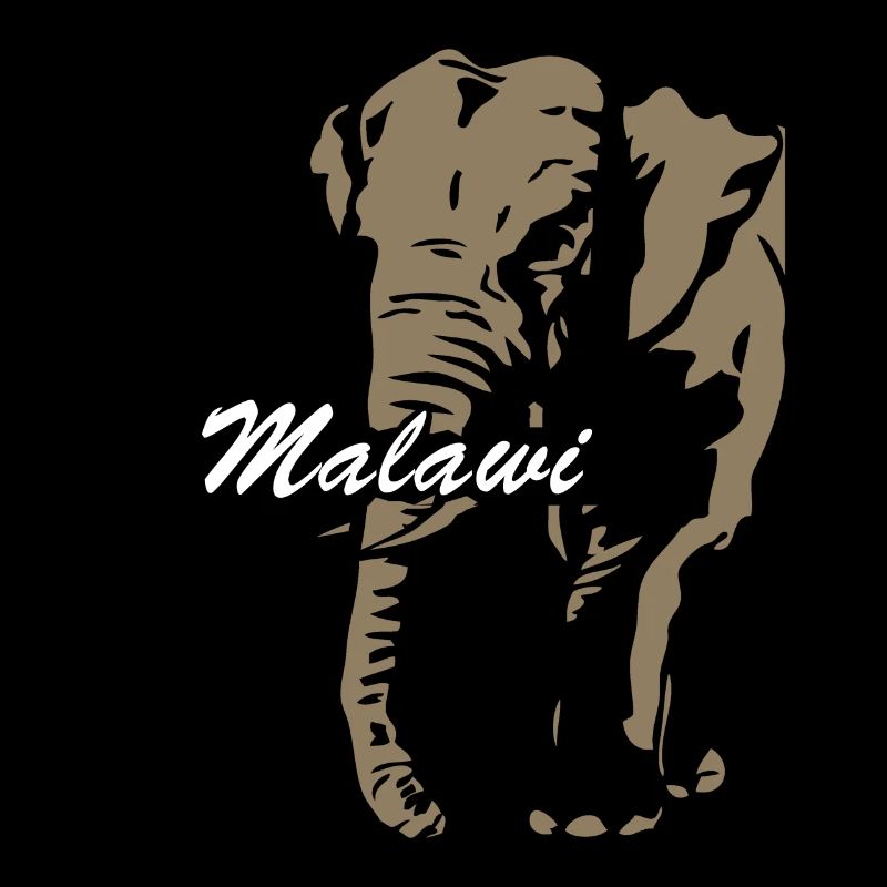 Malawi - Elefant
