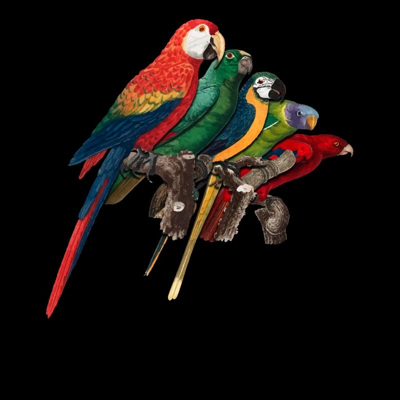 Funny Bird Watcher Birding Watching