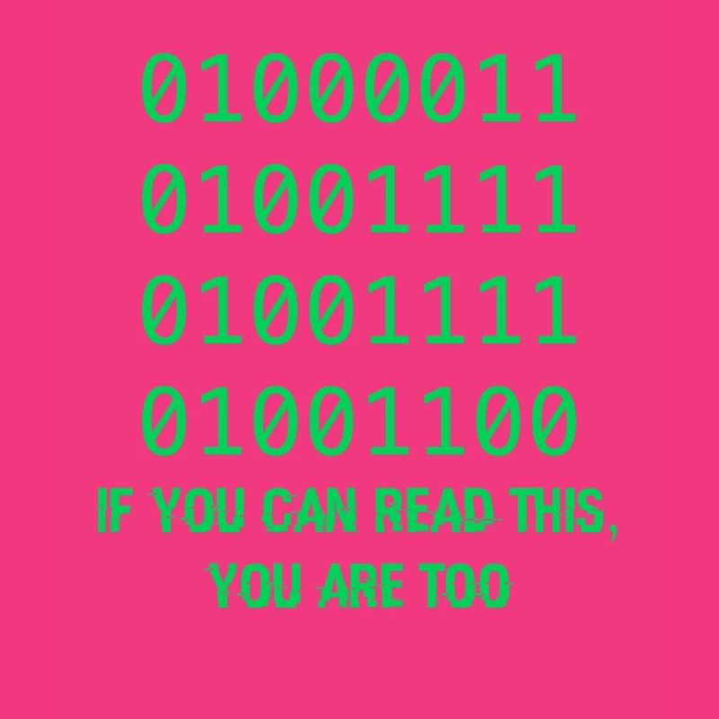 Computer Binary Code Developers Gift