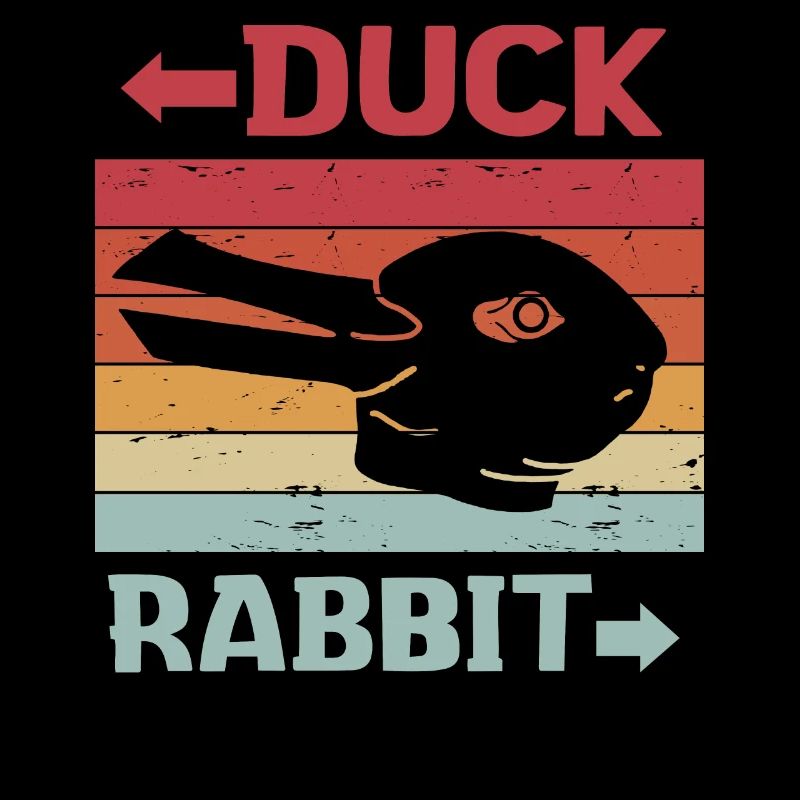 Wittgensteins Rabbit Duck Illusion
