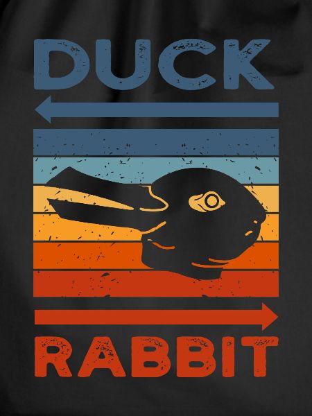 Wittgensteins Rabbit Duck Illusion