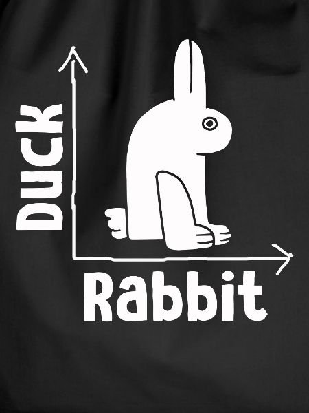 Wittgensteins Rabbit Duck Illusion