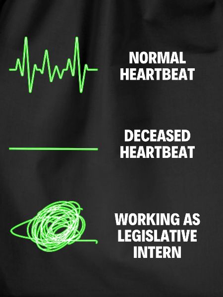 Legislative Intern Assistant Legislative