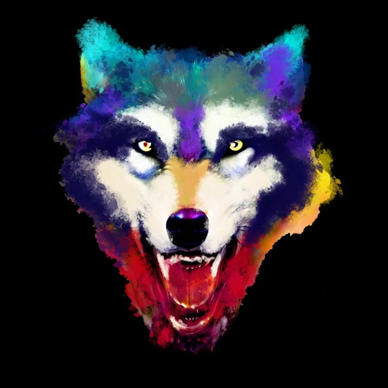 Wolfskopf Aquarelle colorée