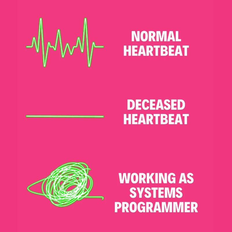 System Programmer Funny System Worker Programmers