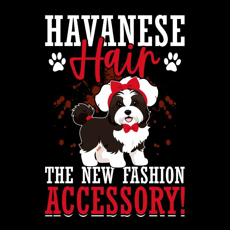Le bichon havanais : le nouvel accessoire de mode