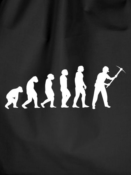 Evolution Bergmann