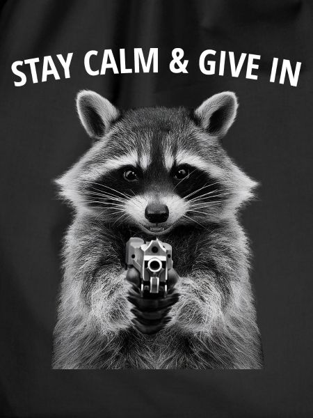 Meme raccoon