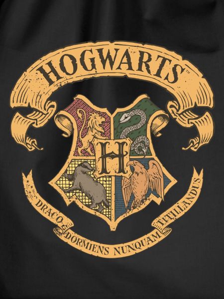Harry Potter Hogwarts Wappen