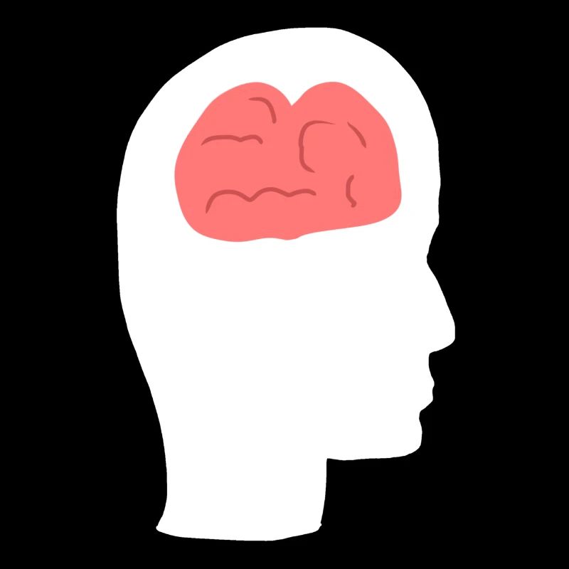 Head Profile Human People Side Brain