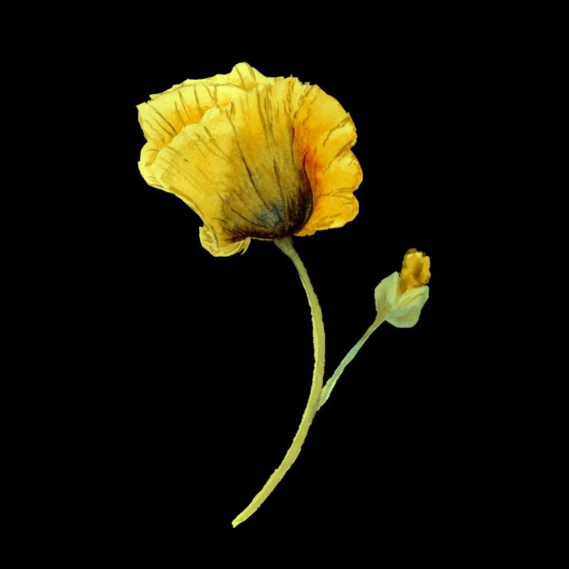fleur