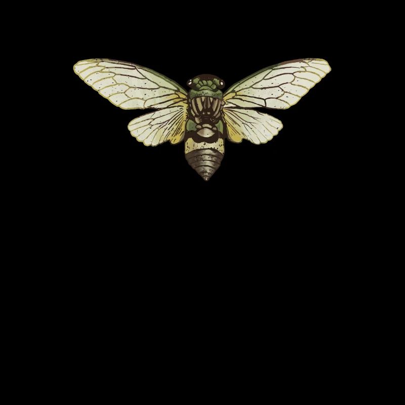Cicada Cicada Brut Insect