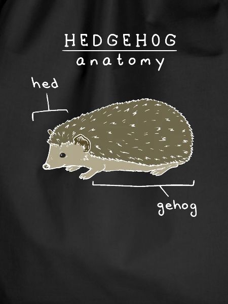Hedgehog Pet