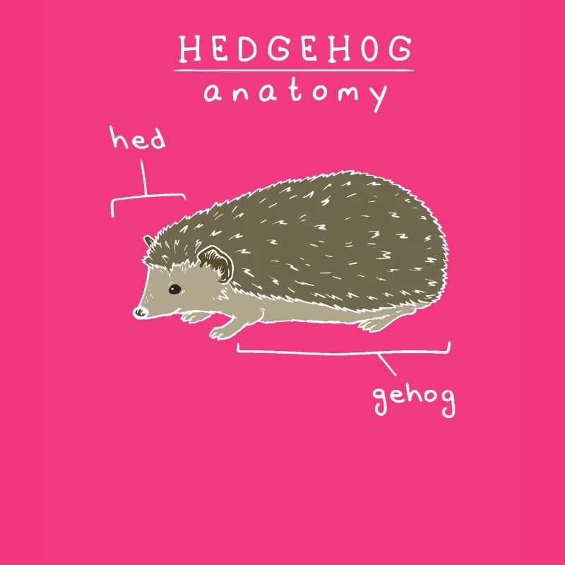 Hedgehog Pet