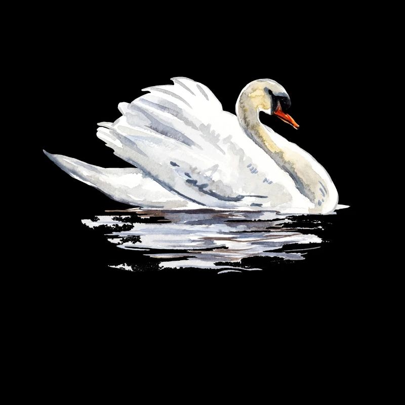 cygne