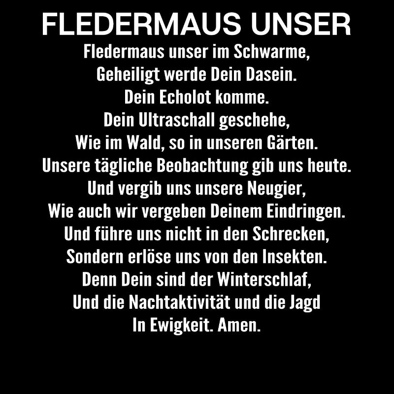 Fledermaus Fledermäuse Bat Bats Fledertier