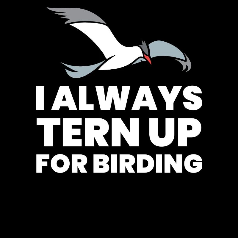 Birding, Jeu de mots d’observation des oiseaux - TERN Up