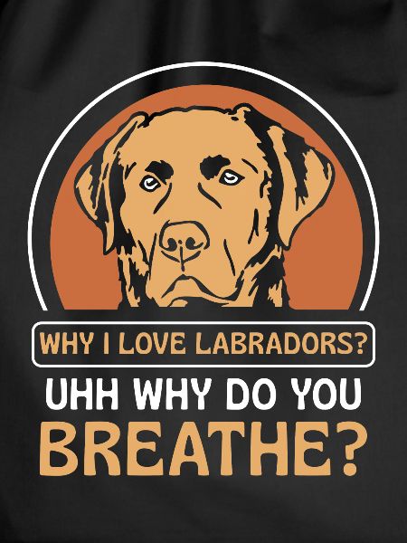 Why i love Labradors
