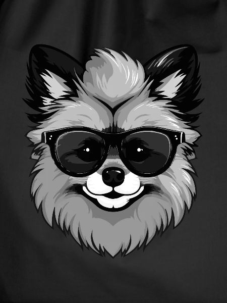 Pomeranian Dog Pomeranian Cool