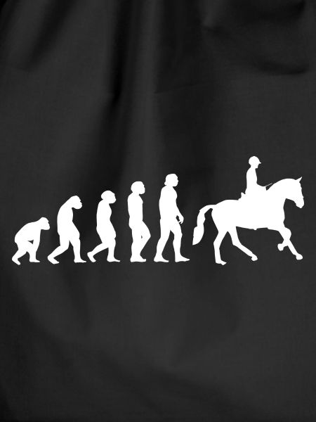 Evolution Reiter