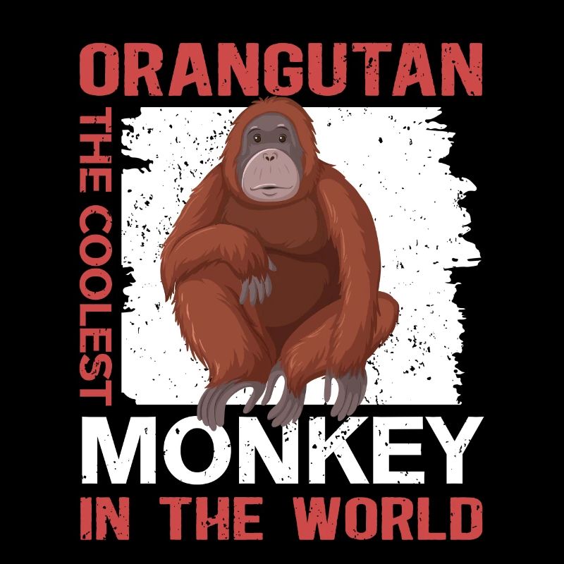 Orangutan Monkeys Orangutan Gift