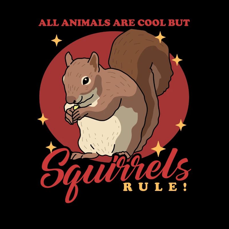 Écureuil mignon Écureuil gris Écureuil cadeau