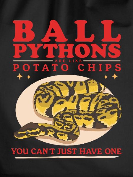 Königspython Python Schlangen Geschenke