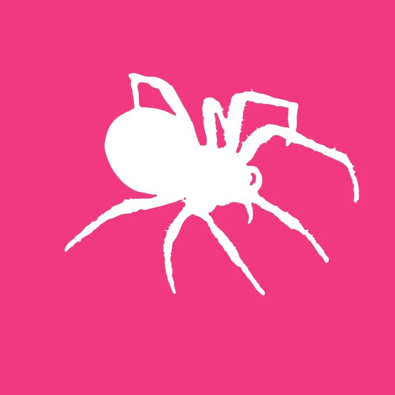 Spider silhouette