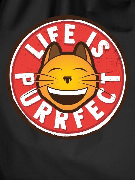 Thinking cat positively