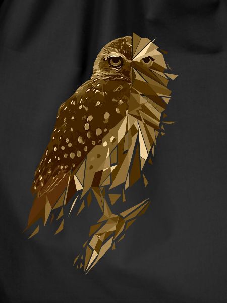 Owl cool animals