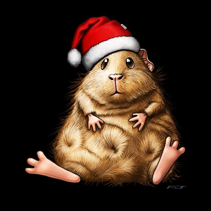 Cochon d'Inde avec Bonnet de Noel