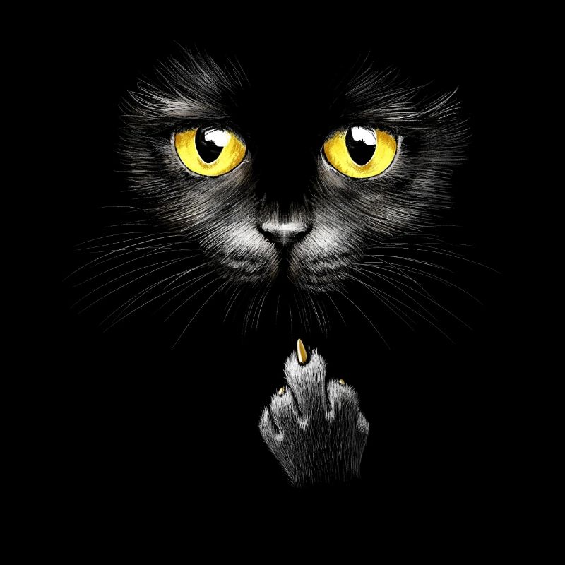 Freche Bombay Katze Mittelfinger Hauskatze