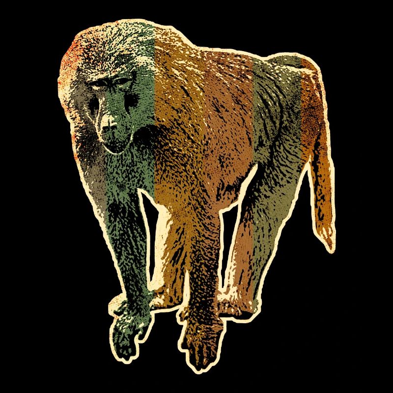 Baboon