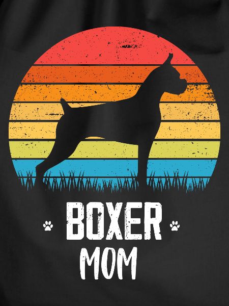 Boxer Dog