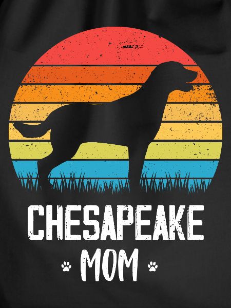 Chesapeake Bay Retriever