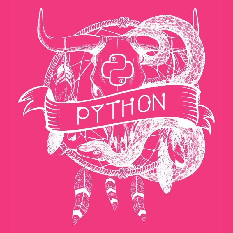 python Programmiersprache technologie