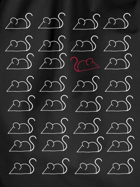 mice