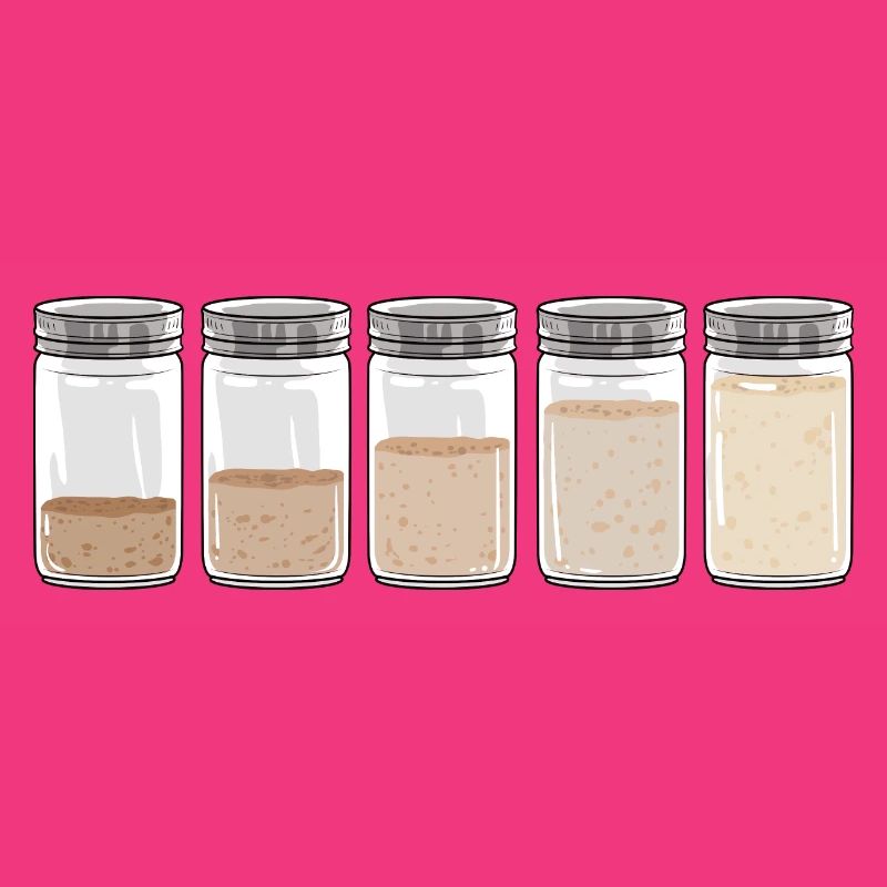 Sourdough I Sourdough Starter Evolution I Bread