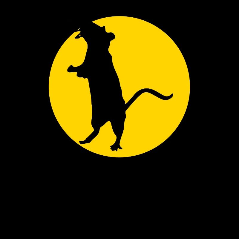 rat and moon
