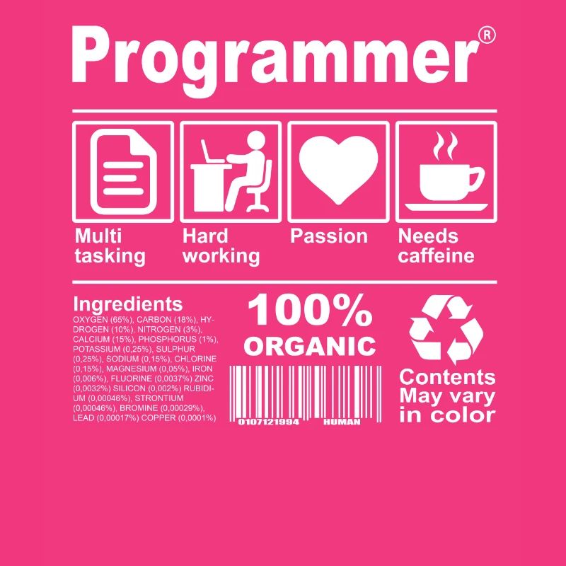 Programmer