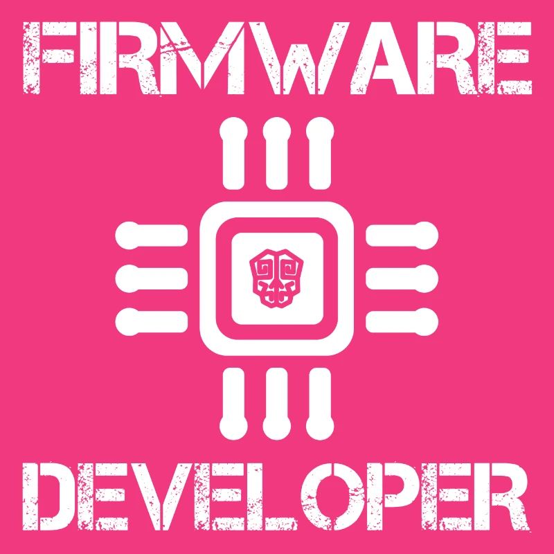Firmware developer
