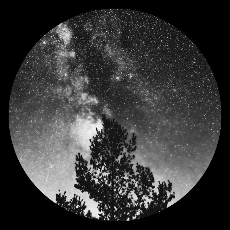 Milky Way With Tree