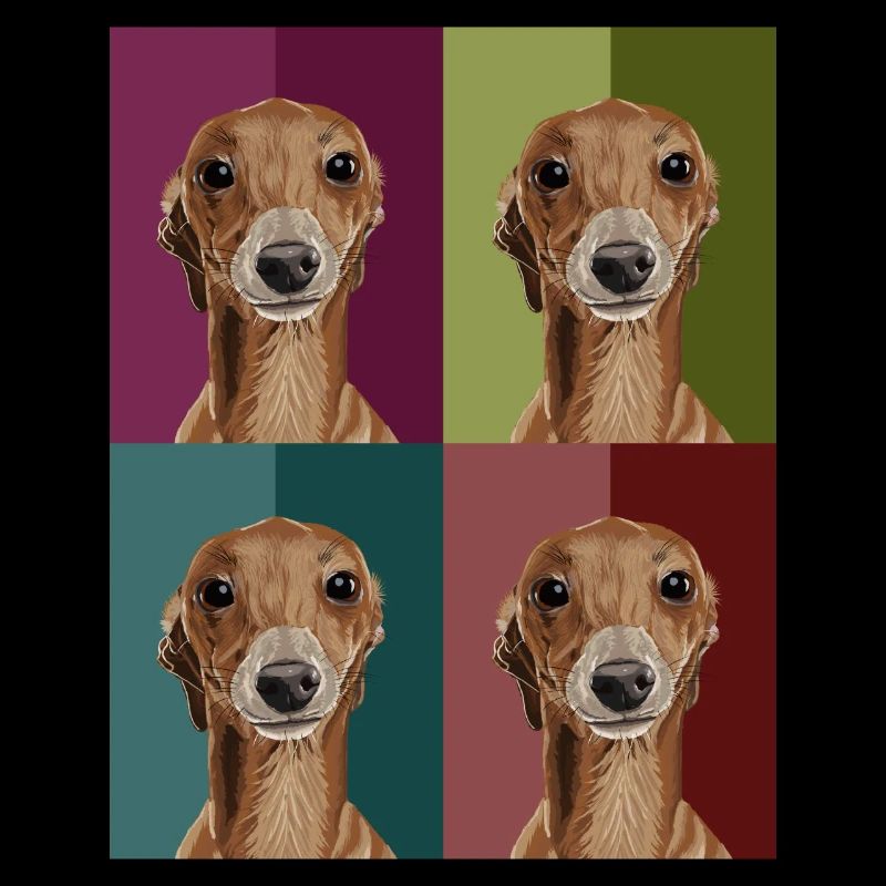 Greyhound4Colours