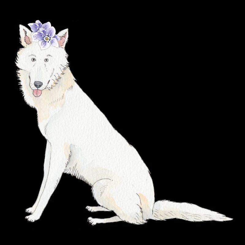 Schwiss shehperd blanc avec fleur